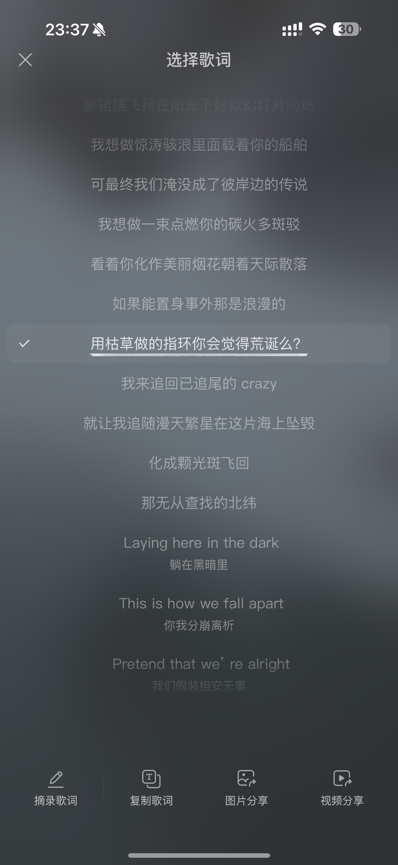 分享图片 