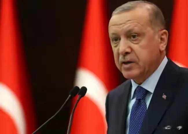 乌贼心虚！土耳其要求国际调查大坝被炸，乌克兰立即强烈反对，称这是纵容俄罗斯。
在