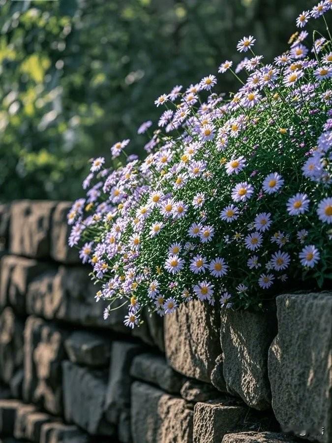 普通人炒股悟道的六个阶段:
1，赌徒阶段，必然大亏
2，技术阶段，继续亏
3，系