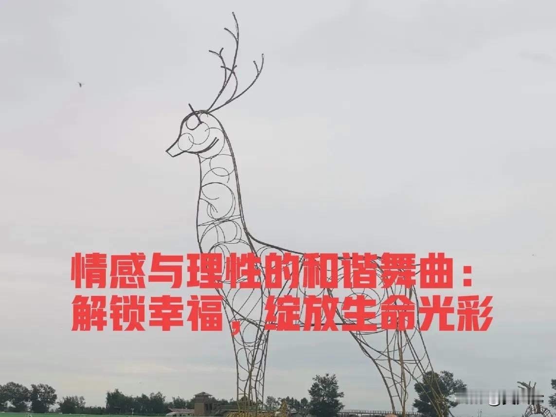 情感与理性的和谐舞曲：解锁幸福，绽放生命光彩。

人们常常秉持一种信念：唯有那些