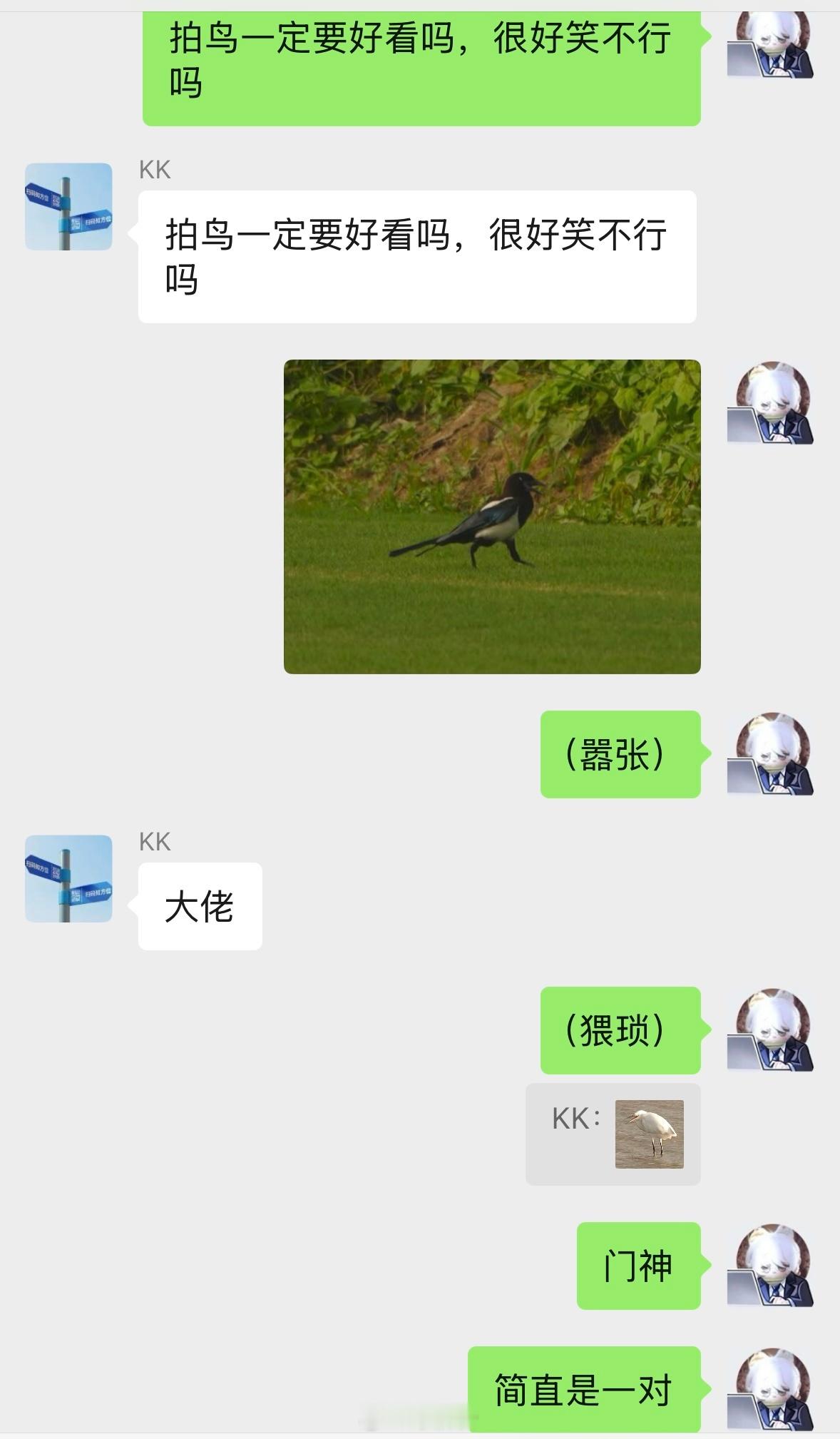 昨日观鸟彩蛋：门神一对 