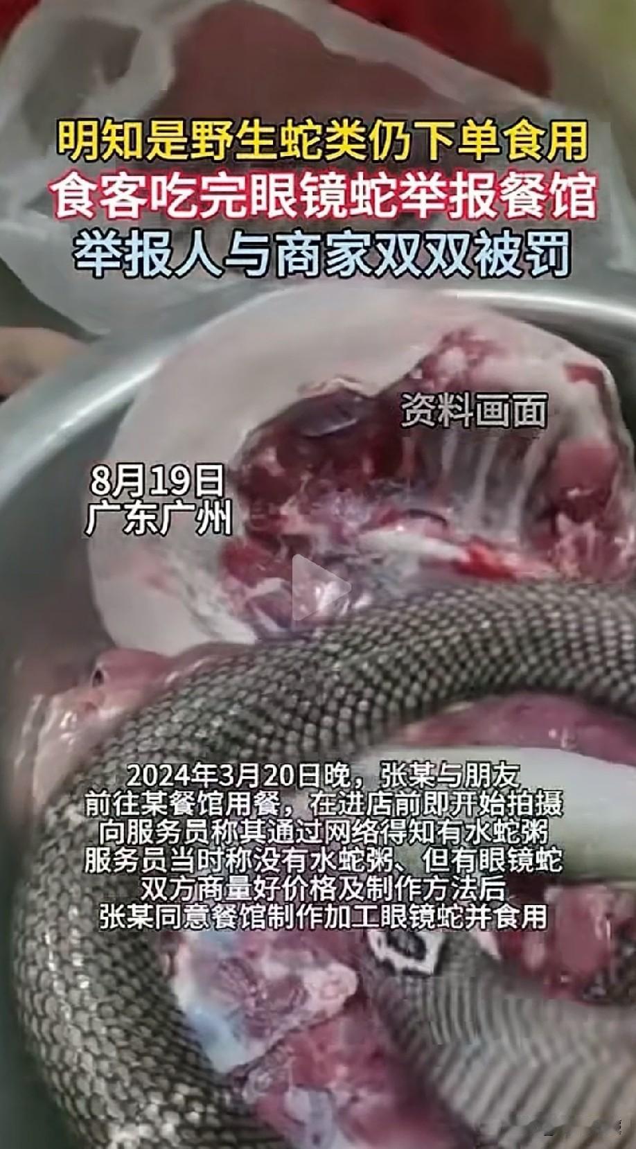 广东广州，男子带朋友去餐馆吃饭，特意点了一份“眼镜蛇”，还偷偷拍照留下证据。用餐