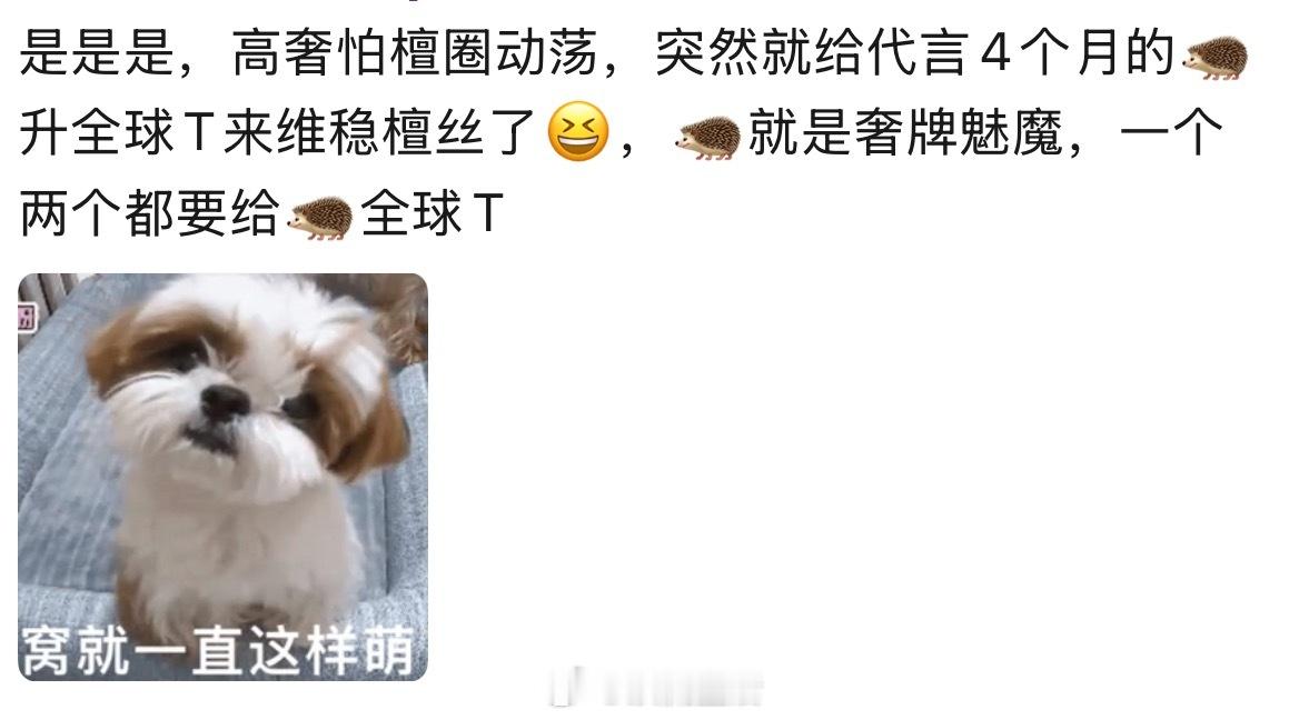 奢牌待遇稳稳的，又一全球代又要来，粉檀健次也太爽了。 