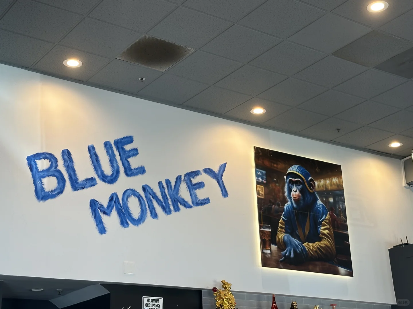 湾区新店｜蓝猴子越南料理🐒🇻🇳开早餐8点
