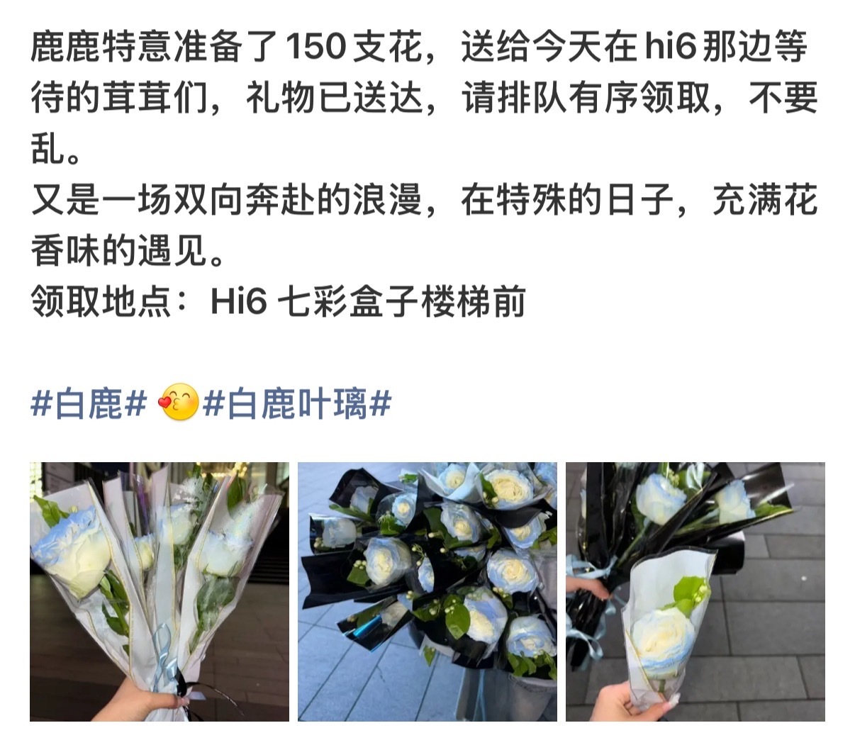 真的很幸福了白鹿520给粉丝送花白鹿520给粉丝准备花