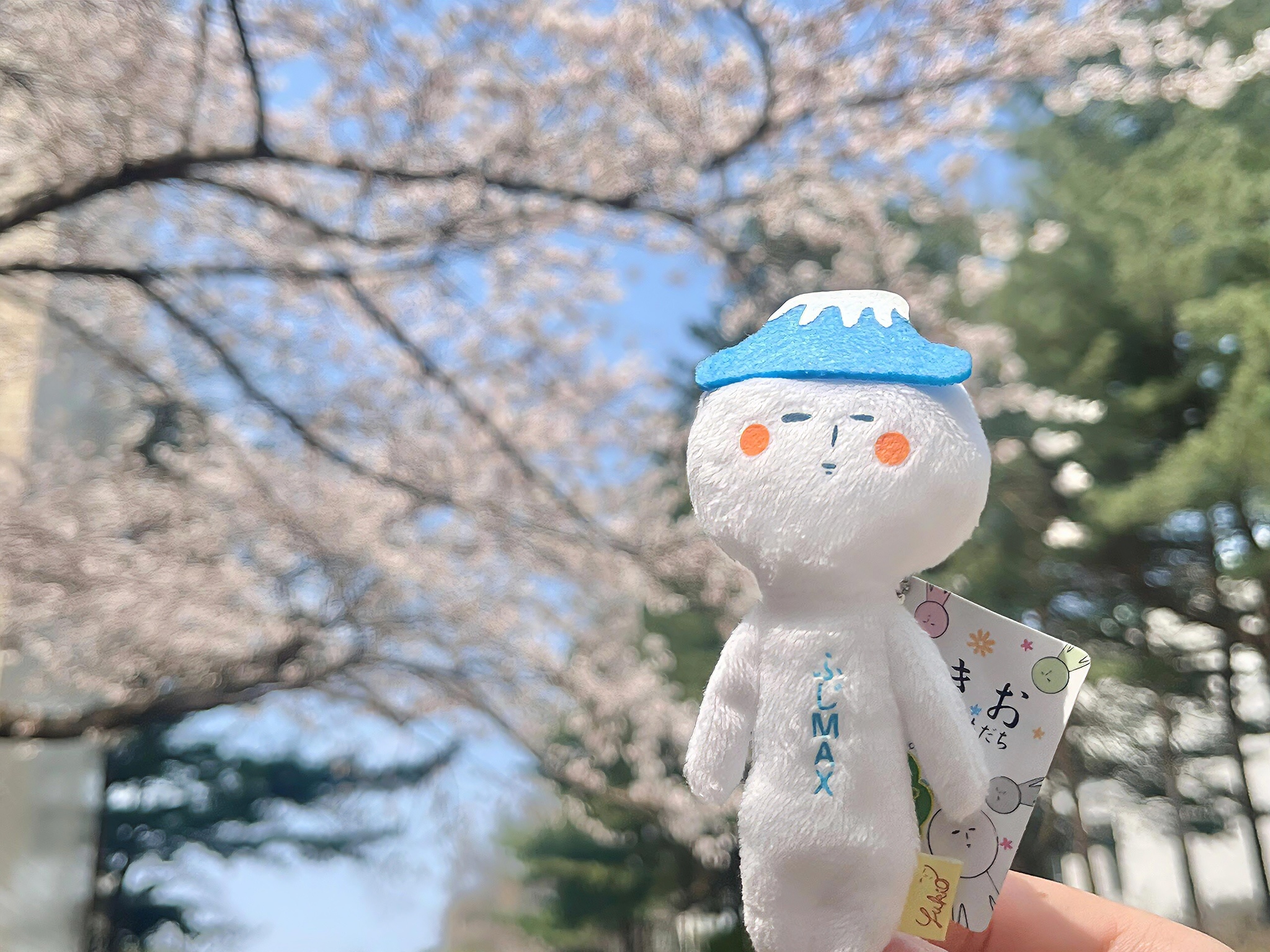 ★ ⋆ iPad横屏壁纸🛖 ⋆𓆸ipad壁纸壁纸 ​​​