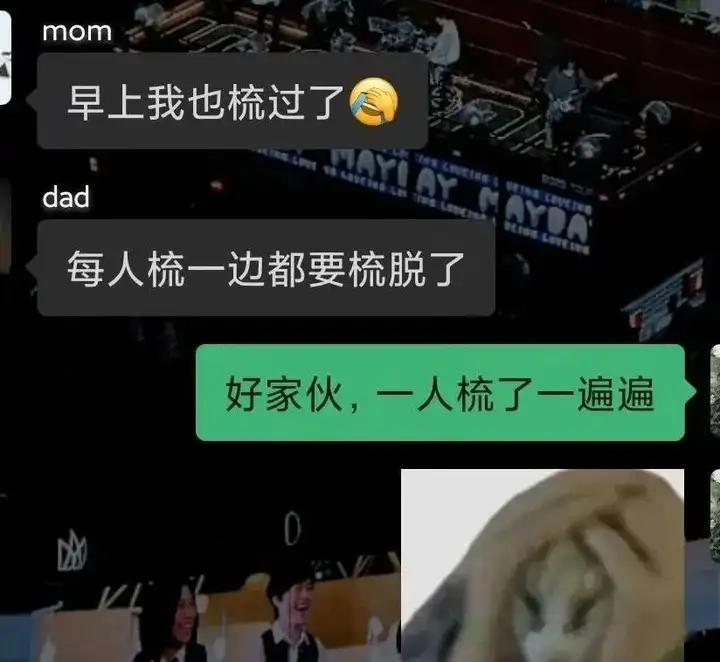 一家三口错峰起床的受害者是猫 