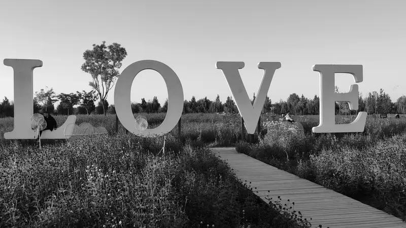 心甘情愿，就是爱的答案爱的真正的意义 爱的真实面目 爱的真实目的 深爱是默默守候