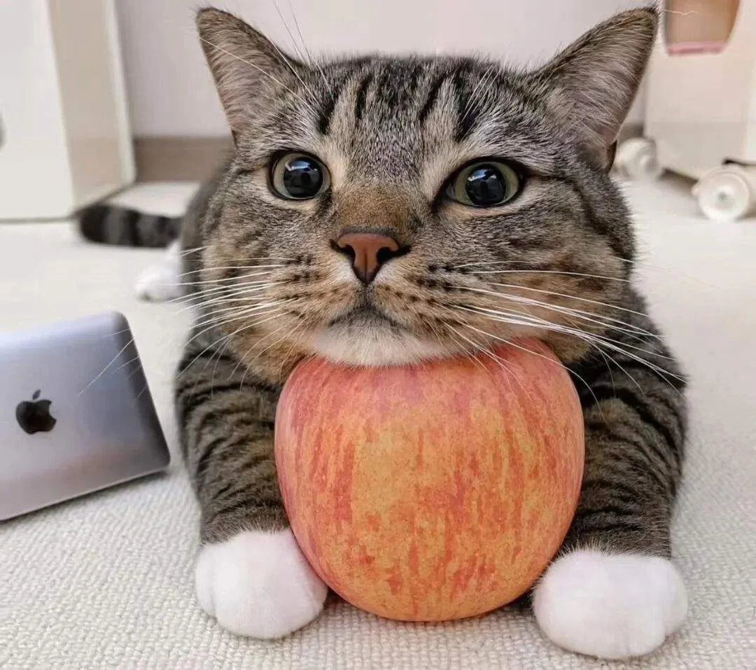 听一个人分享自己的事情，而不作出任何评判，这是如此合乎情理的事情。但我也意识到如