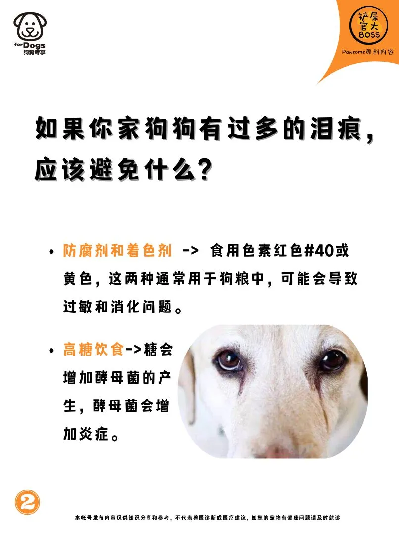 如果你家狗狗有过多的泪痕，应该避免什么?
