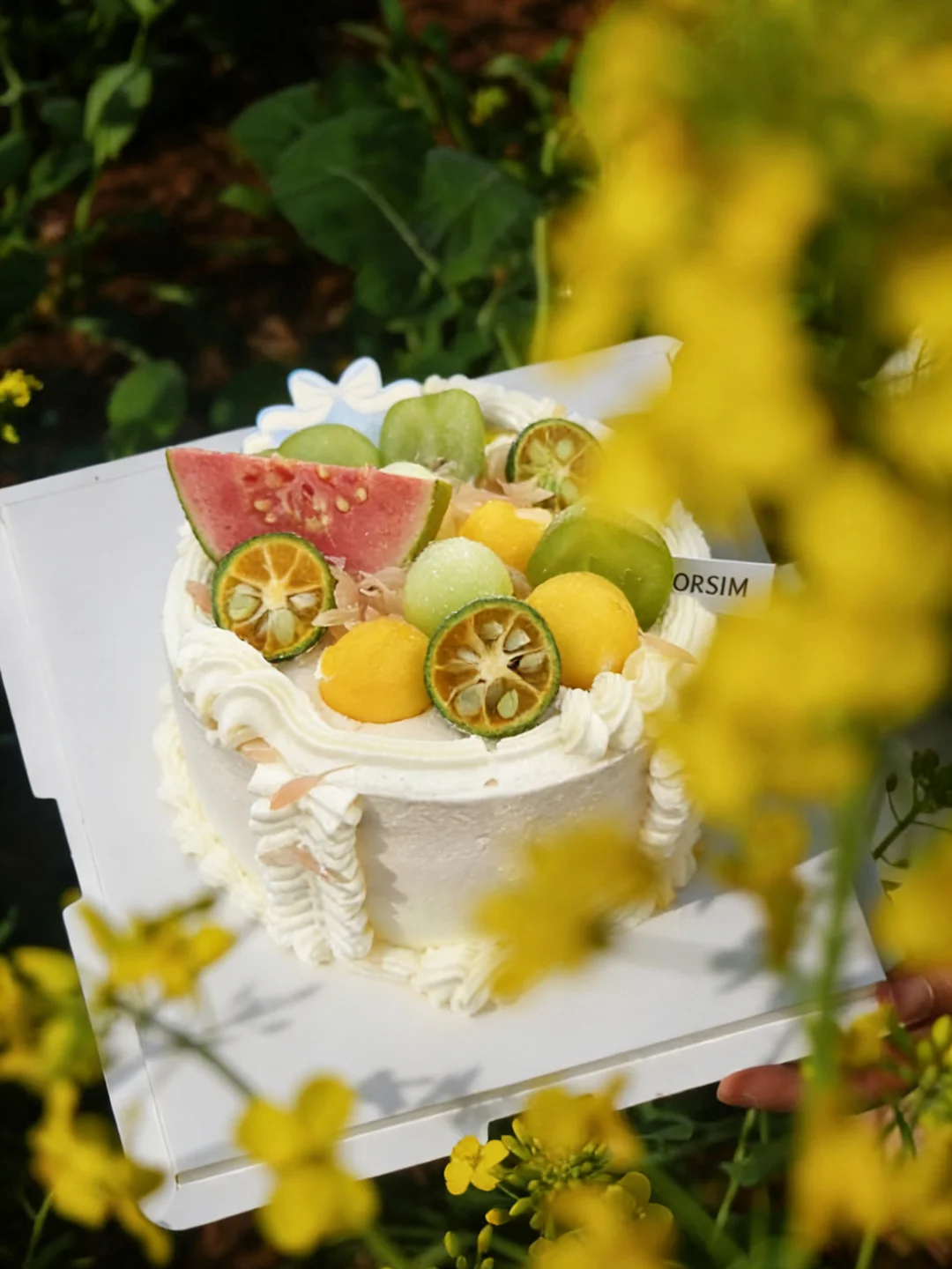 和朋友一起过生日