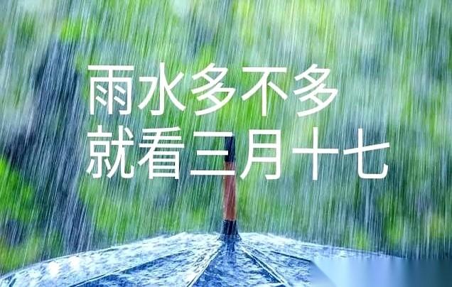 在老农的经验里，一整年的收成，不看别的，就看一天。
农历三月十七。
就今天。
这