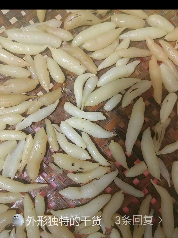 山西，一男子赶集回家，路过邻居家时，突然，看见邻居把一筐白色根抬出来晾晒，出于好