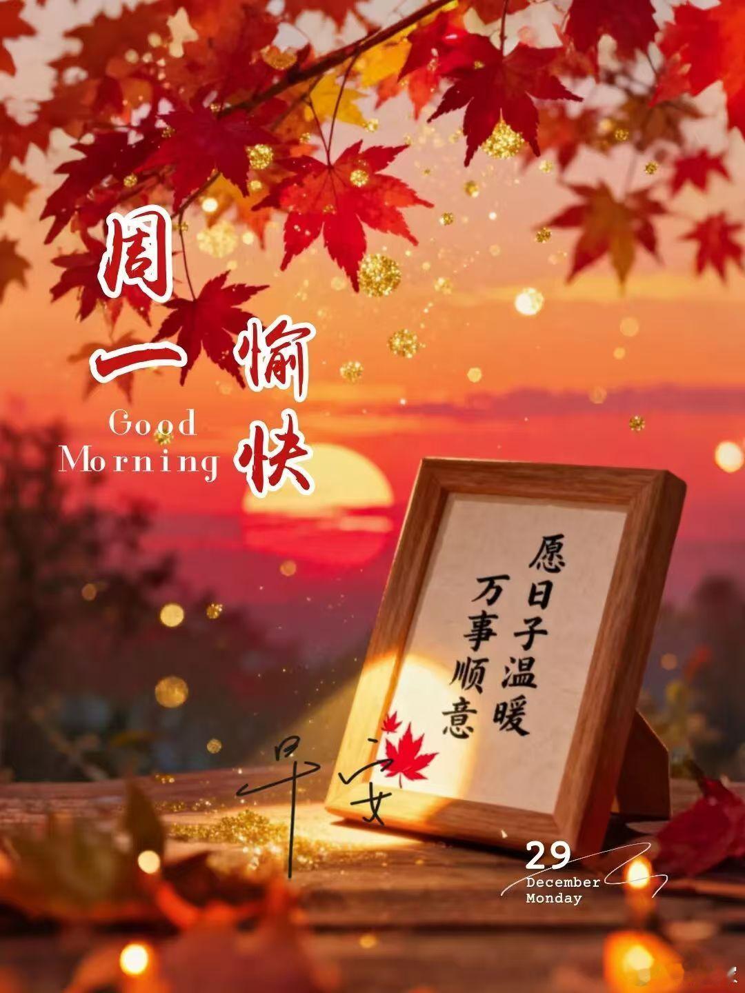 新的一周开始啦