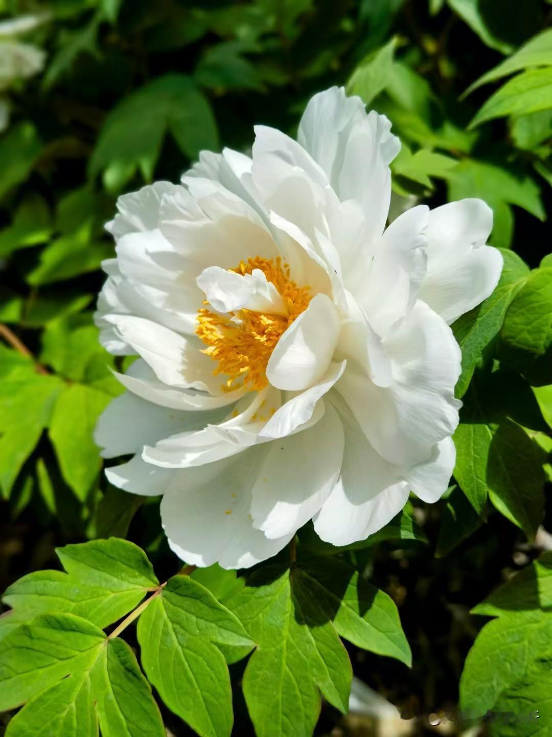 躺的叽叽歪歪的

只要回到头条，必然是腰突犯了，跑不出去，躺着是挺难受的一件事，