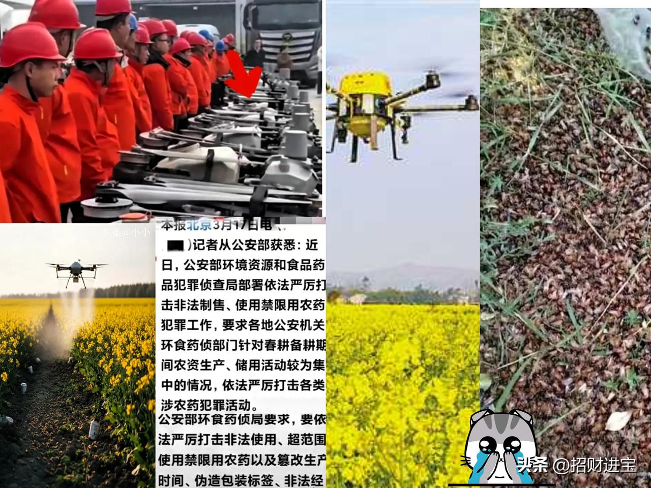 今天刷到公安部严打涉农药犯罪的通报，越想越觉得离谱。

​这帮搞外包打药的，居然