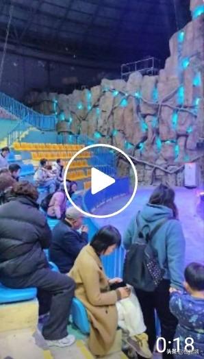 和我姐带上爸妈，逛南通野生动物园，就是去年大家熟悉的有许愿池的那家[呲牙]
在一