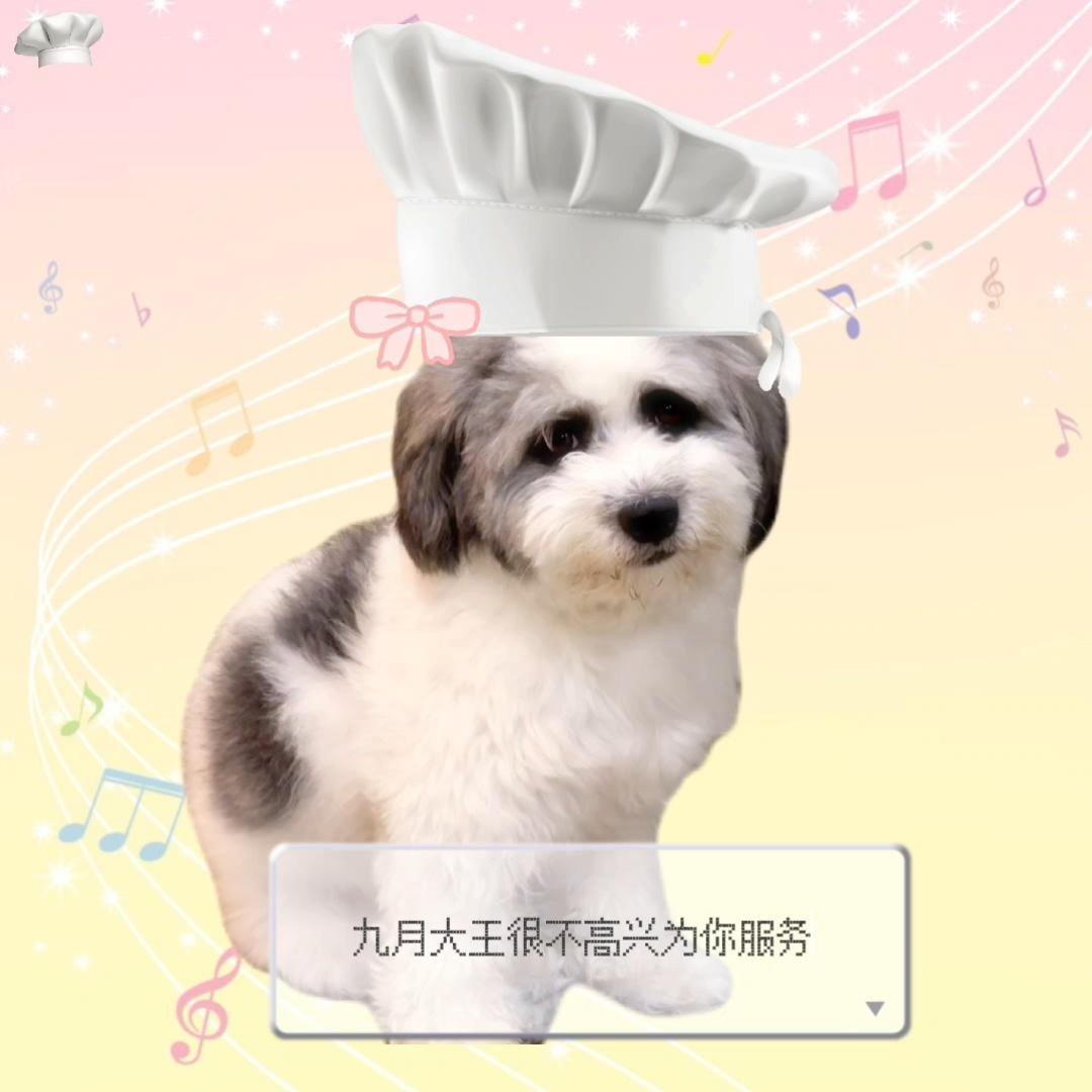 九月大王很不高兴为你服务 