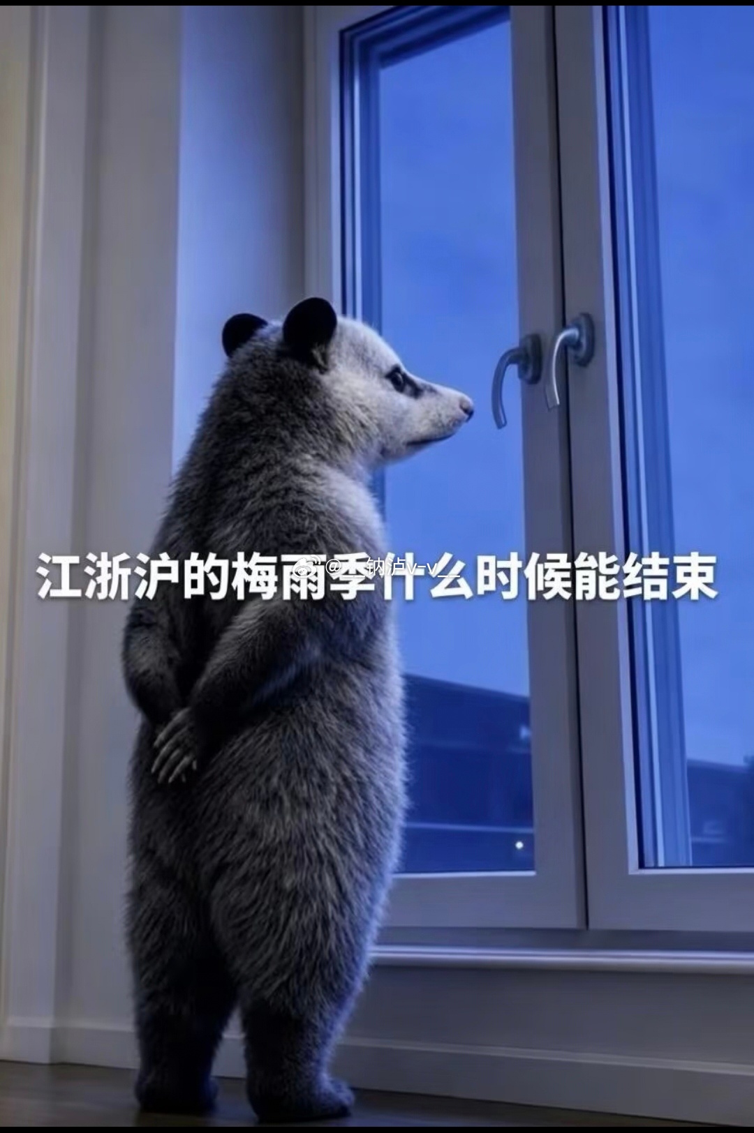 最近雨都不带停的。。。 