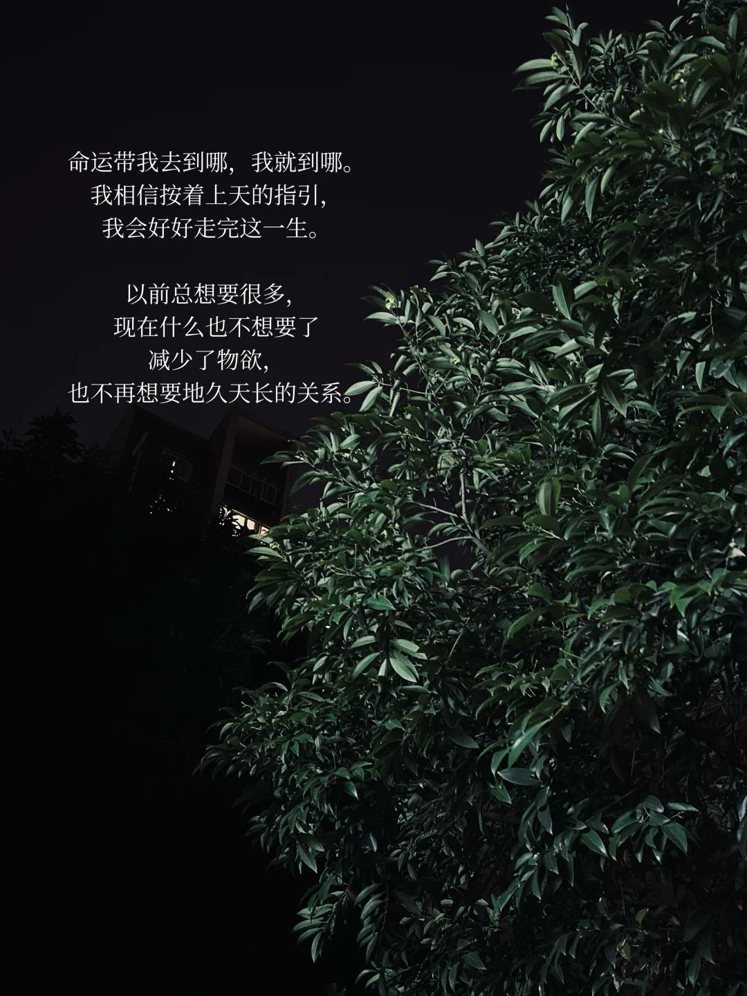 成为一个平静的人，需要流很多地眼泪。