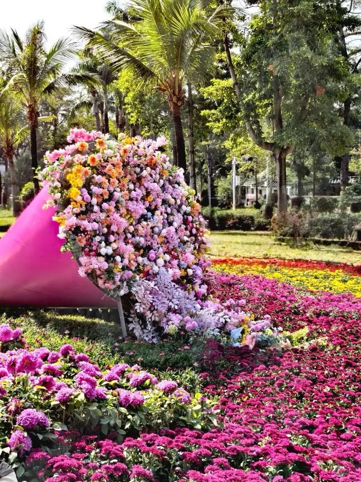 垃圾桶旁的“争夺战”

我们小区的垃圾桶，曾是整整齐齐的模样，分门别类的标识清晰