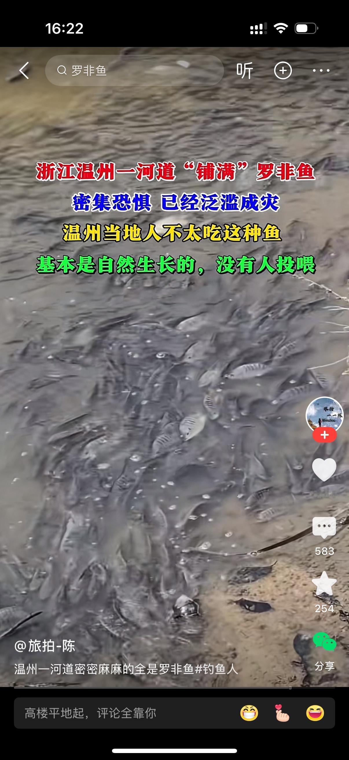 浙江温州一河道铺满罗非鱼，密集恐惧，已经泛滥成灾。据说温州当地人不吃这种鱼，基本