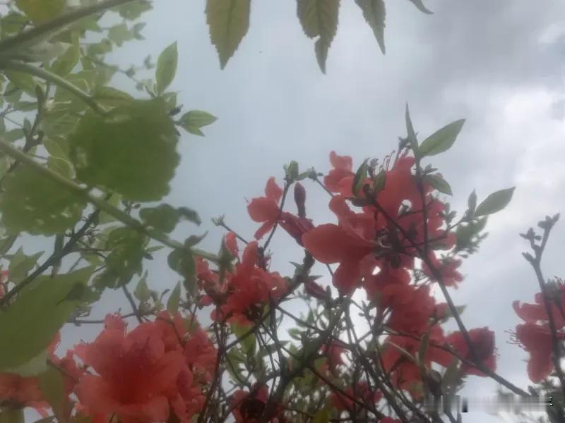 解决红尘俗世一切问题的最好的办法就是：

永远只关注自己，永远爱自己，永远确保自