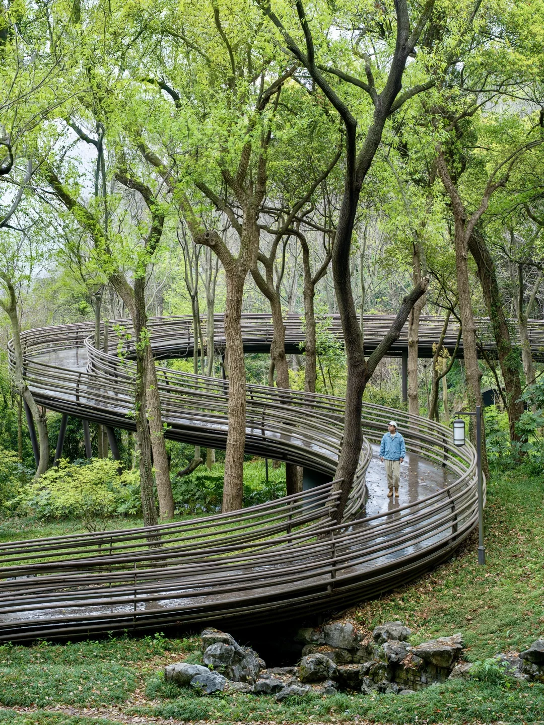 杭州就是一个巨大的绿色能量场