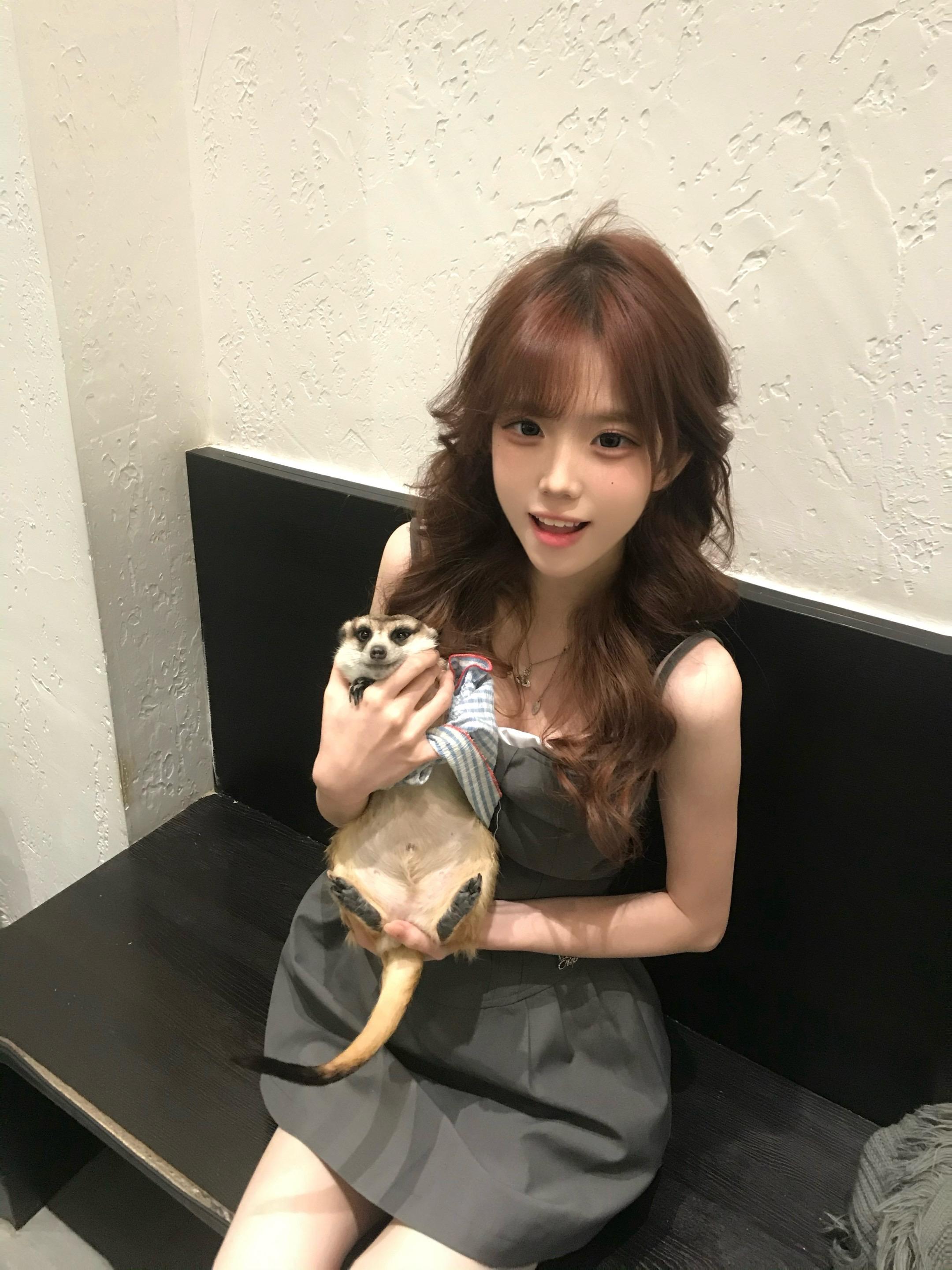 世界还要被这些小动物统治多久