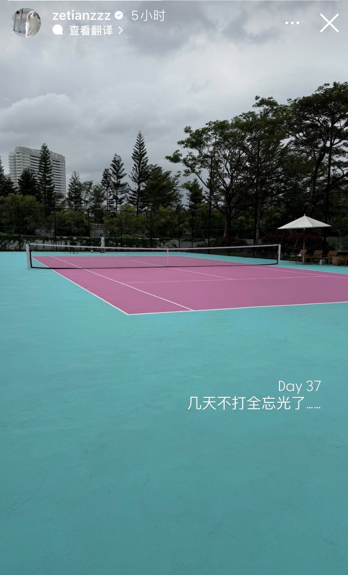 章泽天又去打网球了🎾 