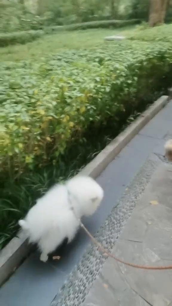 故事人人都有，只是各不同。在咖啡一样苦的日子里，要学会自己给自己放糖。生活就是顶