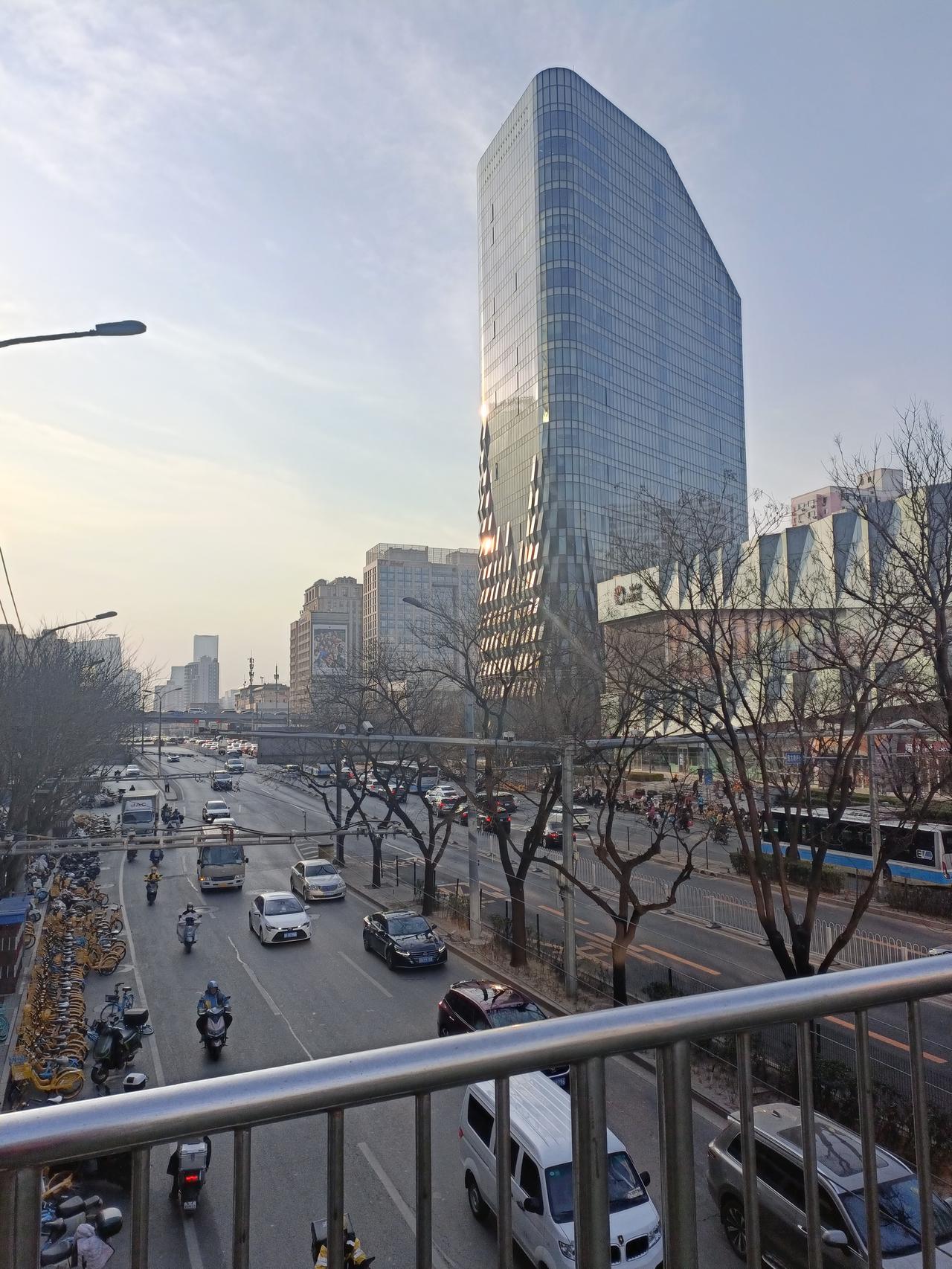 记录我的2026随着天气变暖，万物复苏，树上的花已含苞待放