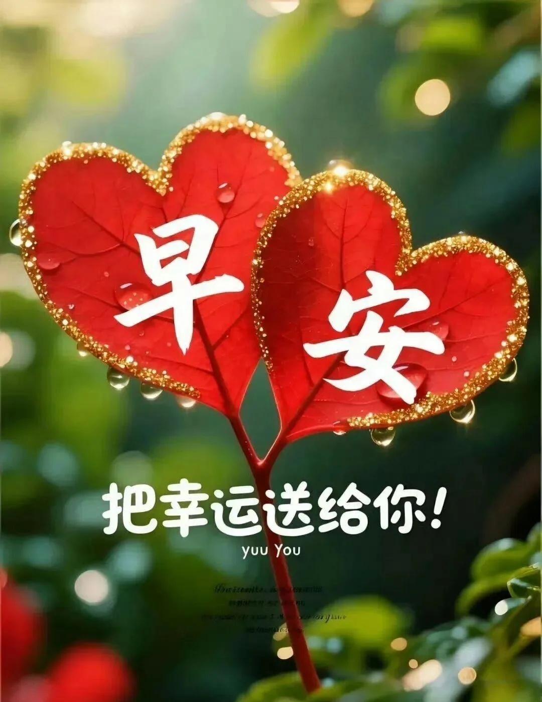 生命的丰盈，源于内心的慈悲；生活的美好，在于一颗平常心。做好分内之事，不争、不执