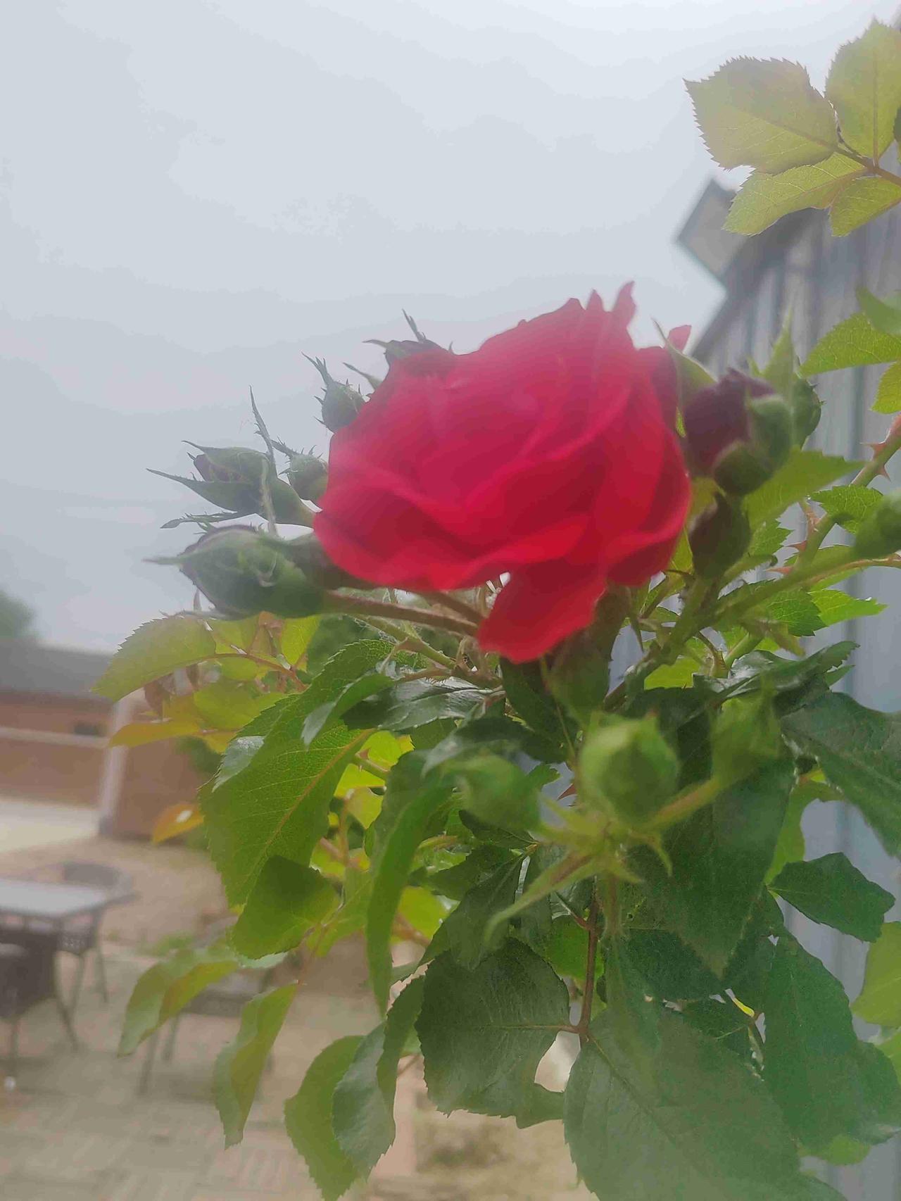 我的今日状态：😁轻松愉快
我这里的天气：☀️晴天