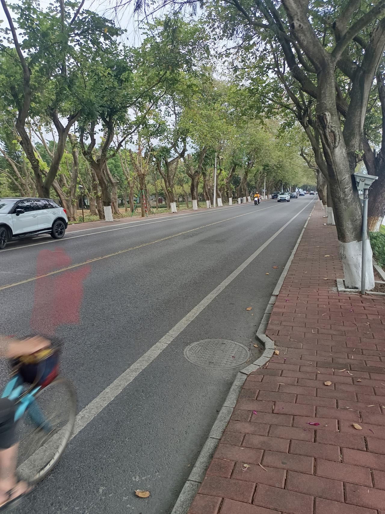 我终于知道
为什么这里是中国5a级风景区七星岩
却依然没有什么人来旅游



你