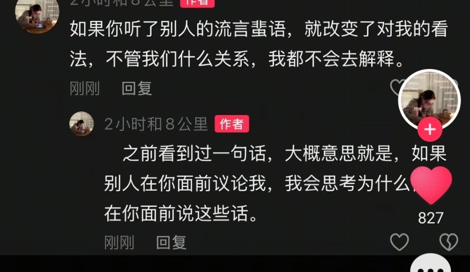 对 如它所说 我就是那样的人请讨厌我吧
