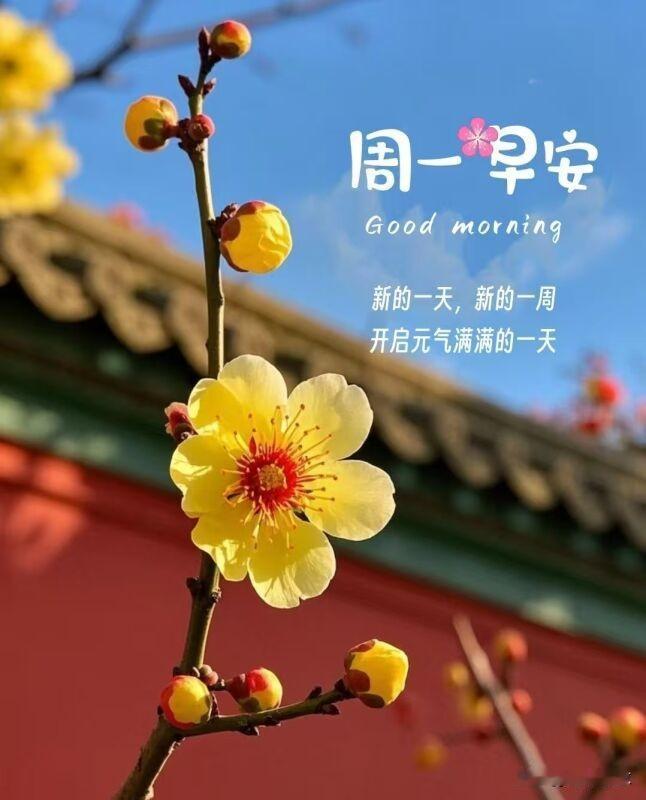 老了思亲，闲了思友，经常连系，就当握手。相互牵挂，友谊长久，夕阳路上，欢歌慢走，