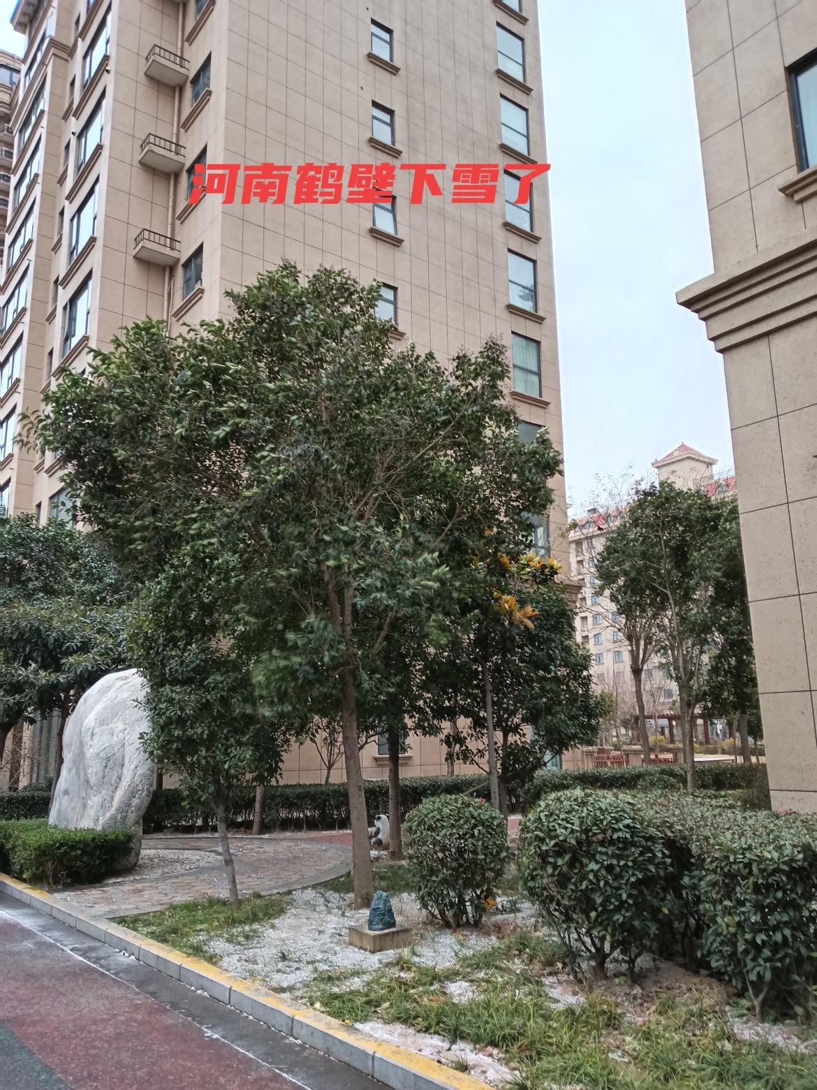 河南鹤壁初雪来啦！盼这场雪越下越大，藏着双倍美好～
 
谁懂啊！河南鹤壁突然变天