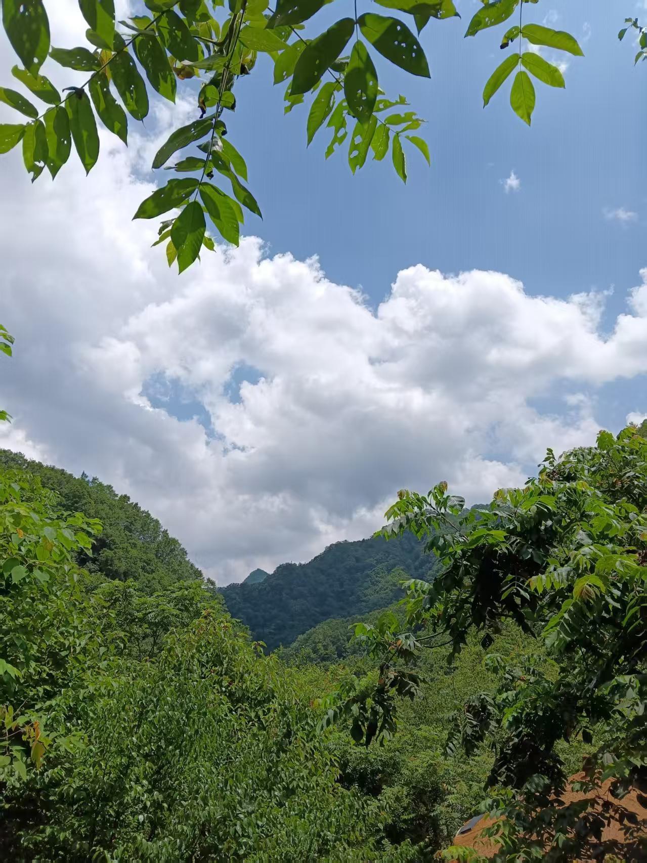 晴天万里云层厚