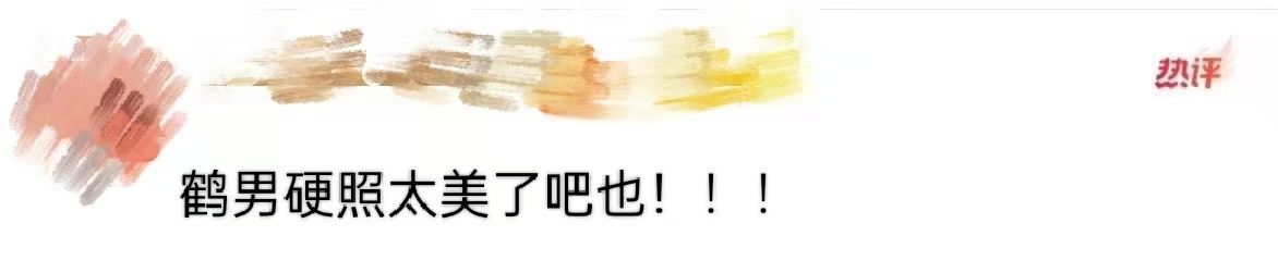 鹤男硬照鹤男就是说这个硬照表现力真的绝了吧！四季流转，鹤男身上那种柔软又坚定的感