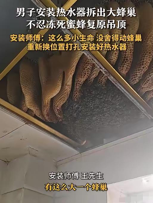 江苏，一居民家中要装热水器，谁知，当安装师傅拆开厨房吊顶后，却发现里面有个超大型