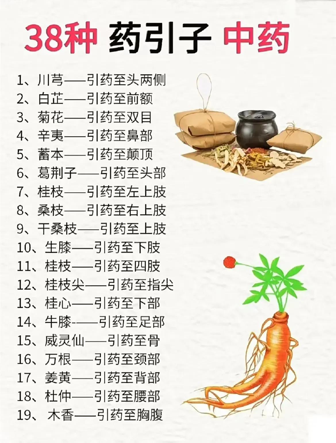 中医文化博大精深，药引子作为中药中的重要组成部分，你知道它的作用吗？今天就来聊聊