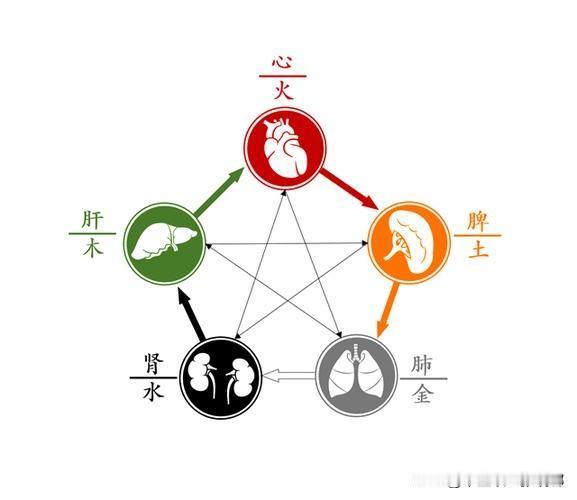 心弱多困、肝弱多晕、脾弱多瘦、肺弱多喘、肾弱多尿。

1、心弱多困。

症状：晚