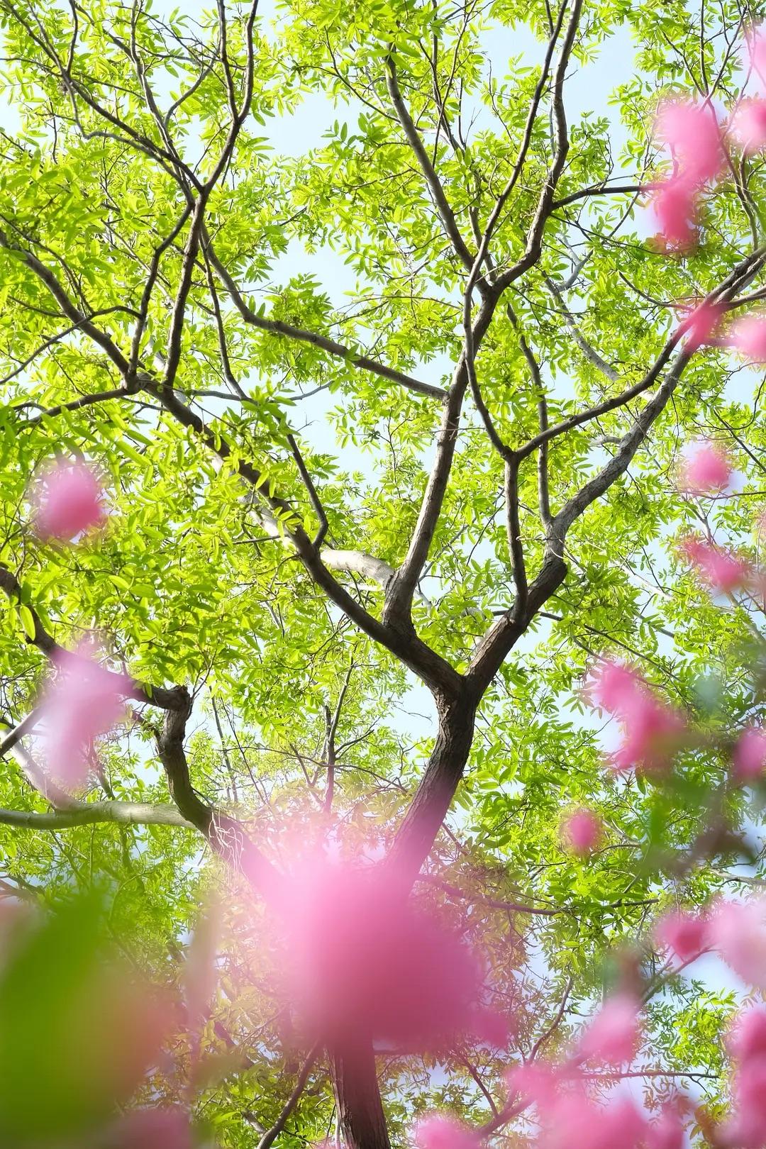 人生觉醒九关：
 
1、清醒关：戒掉情绪内耗，不再讨好别人，明白众生自顾，万事靠