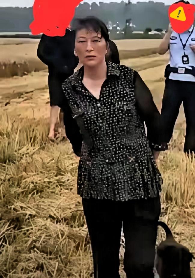 对襄阳大妈不能和稀泥！
对襄阳大妈欺负外地收割机主的“地头蛇”行为，三个主体都觉