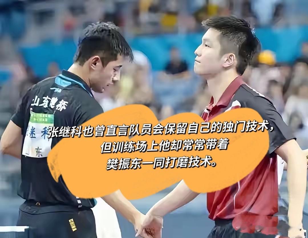 谈起张继科与樊振东私下的相处，尹航的一番说法勾起不少球迷的好奇心。

虽说队内选