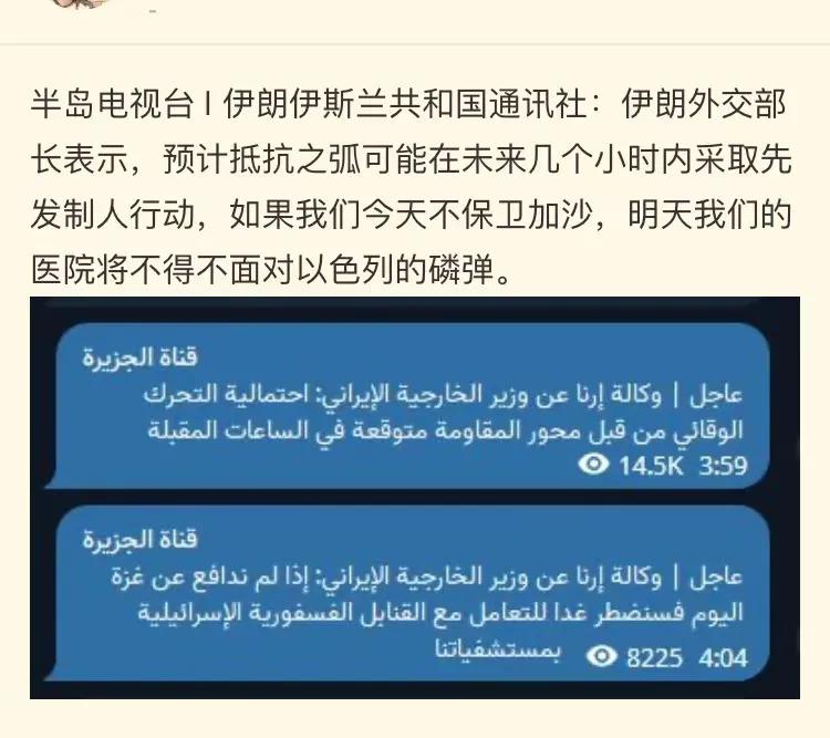 如果我们今天不保护加沙，明天我们的医院就会面临以色列的白磷弹。

伊朗外长16日