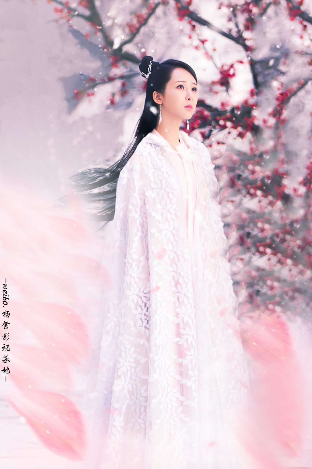 天乩之白蛇传说   yz杨紫天乩之白蛇传说yz杨紫白夭夭“那就祝我的大明星平平安