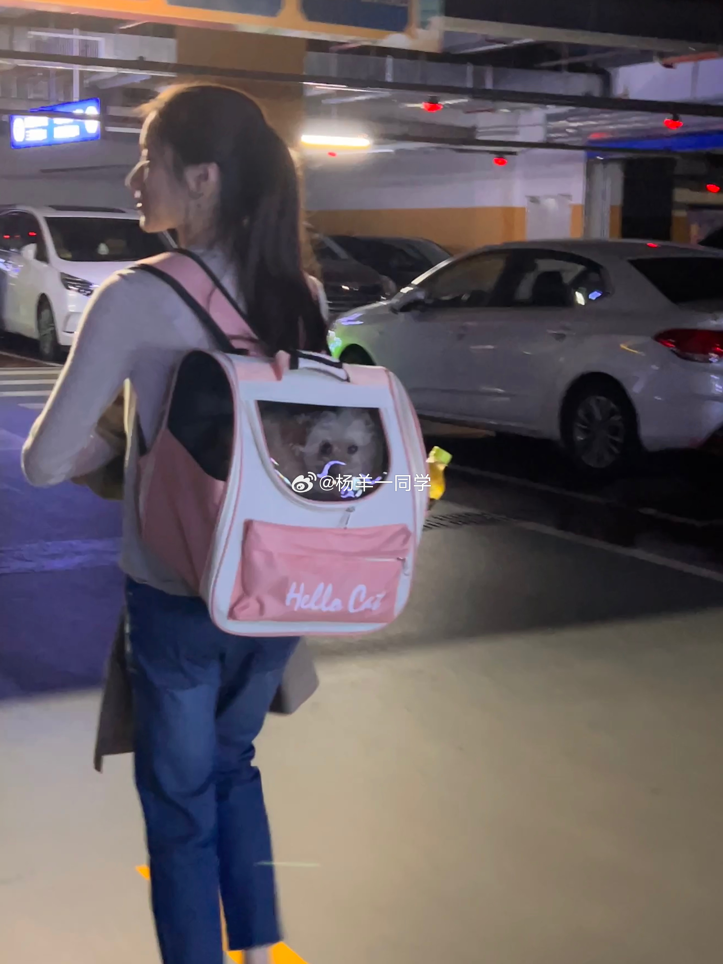 霓虹熄了 世界渐冷清 仍有小狗与金桂陪伴[团圆月饼] ​​​