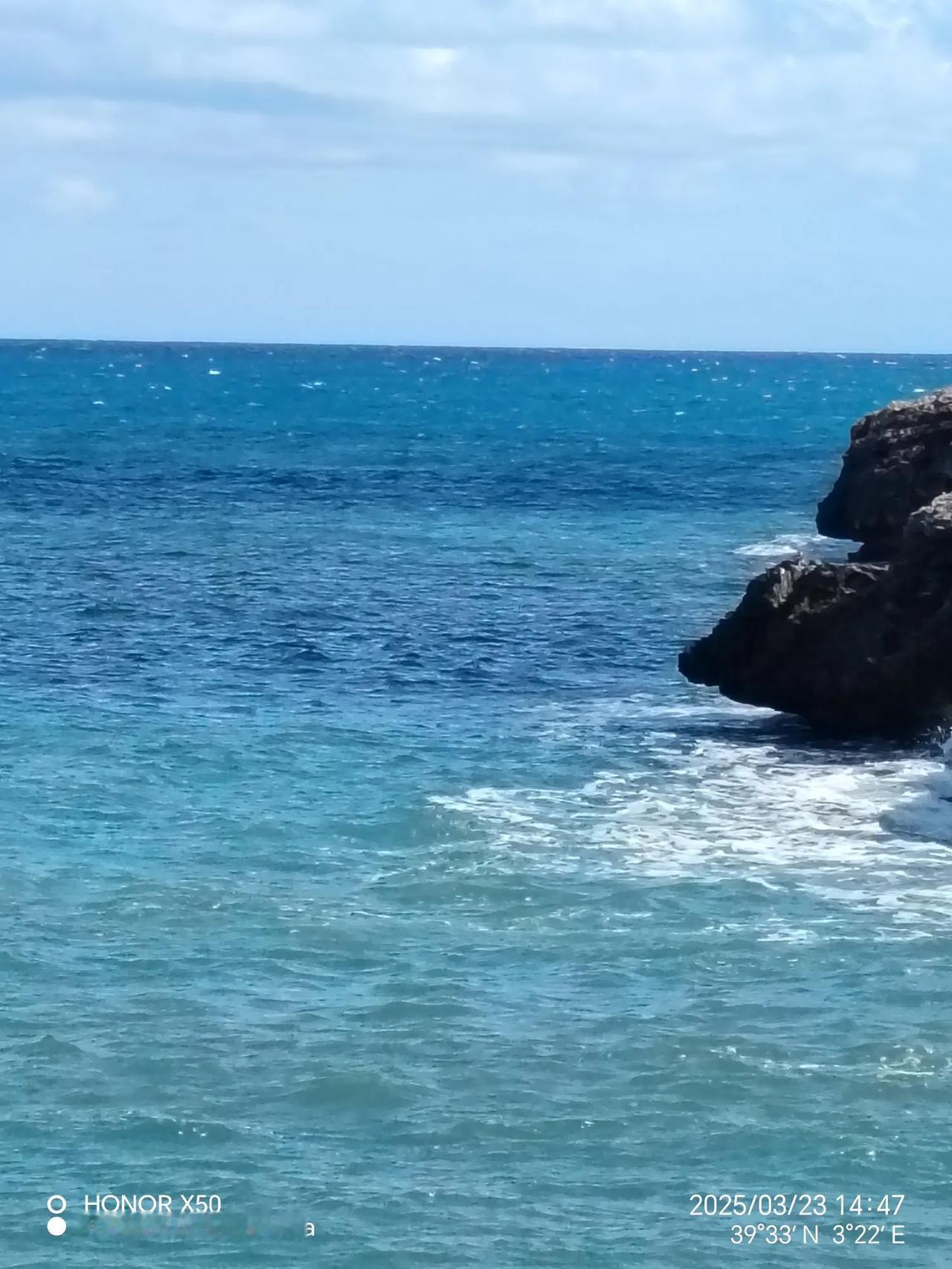 二师兄也被这美丽的海景吸引，要下海游泳了。